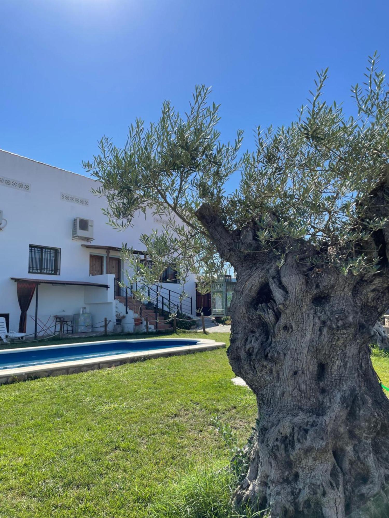 Casa Rural El Miajon Villa El Campo  Kültér fotó