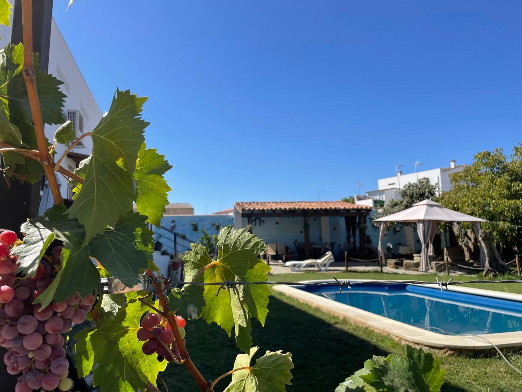 Casa Rural El Miajon Villa El Campo  Kültér fotó
